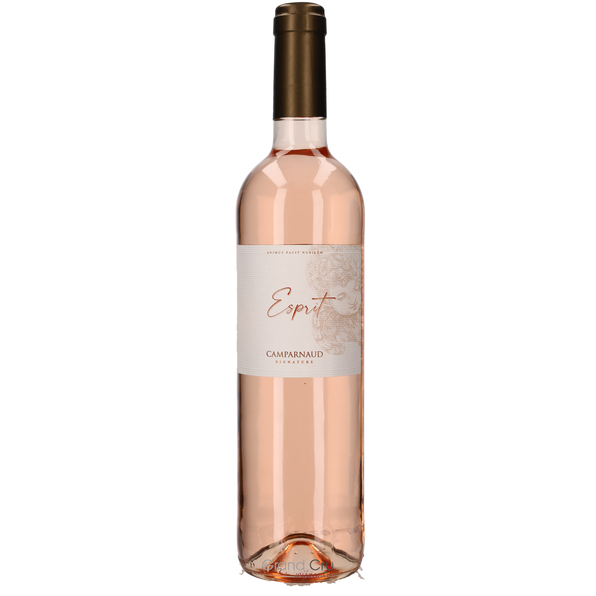 2022 Chateau Camparnaud Esprit Rose